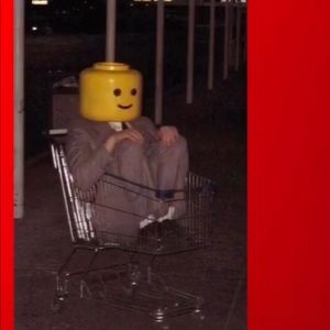 Meet your Posher, Teddy